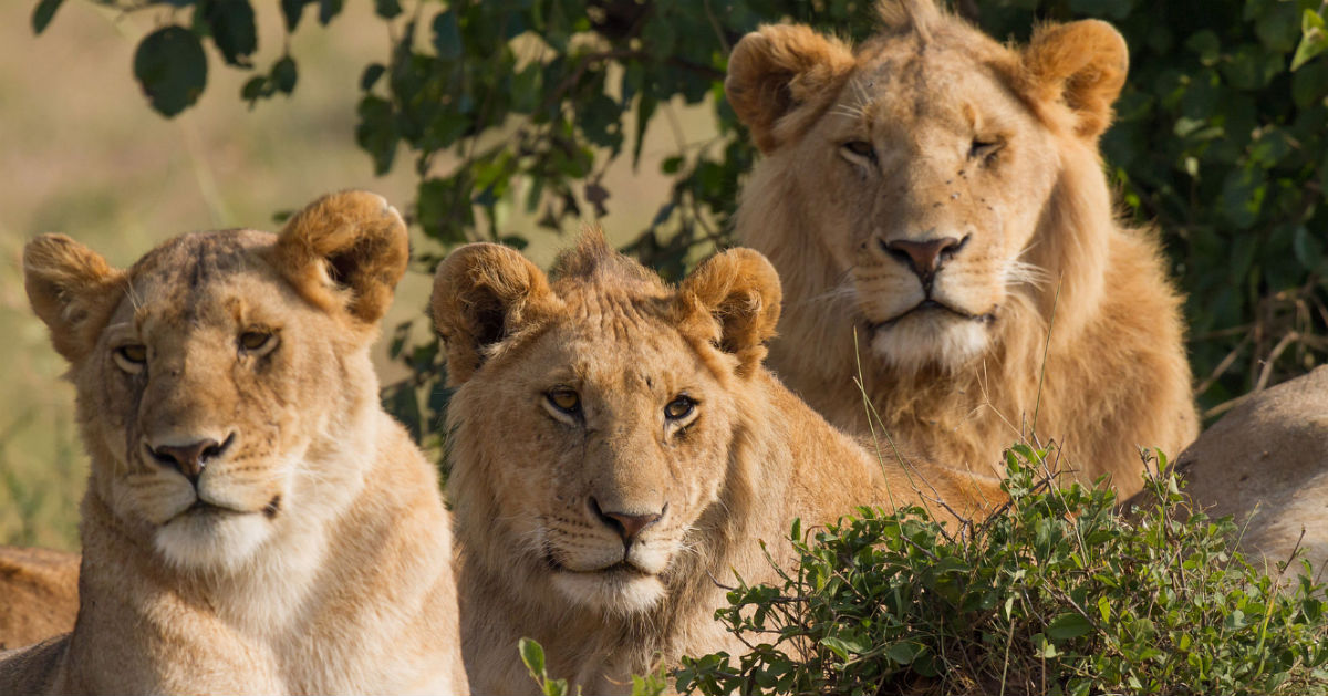 Poachers Who Broken In Illegally To Protected Land, Learn The Ultimate Lesson From Mother Nature