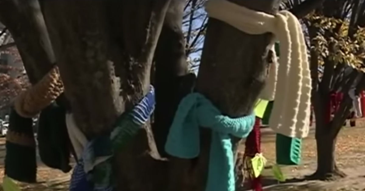 What It Means If You See A Scarf Wrapped Around A Tree In Your Neighborhood