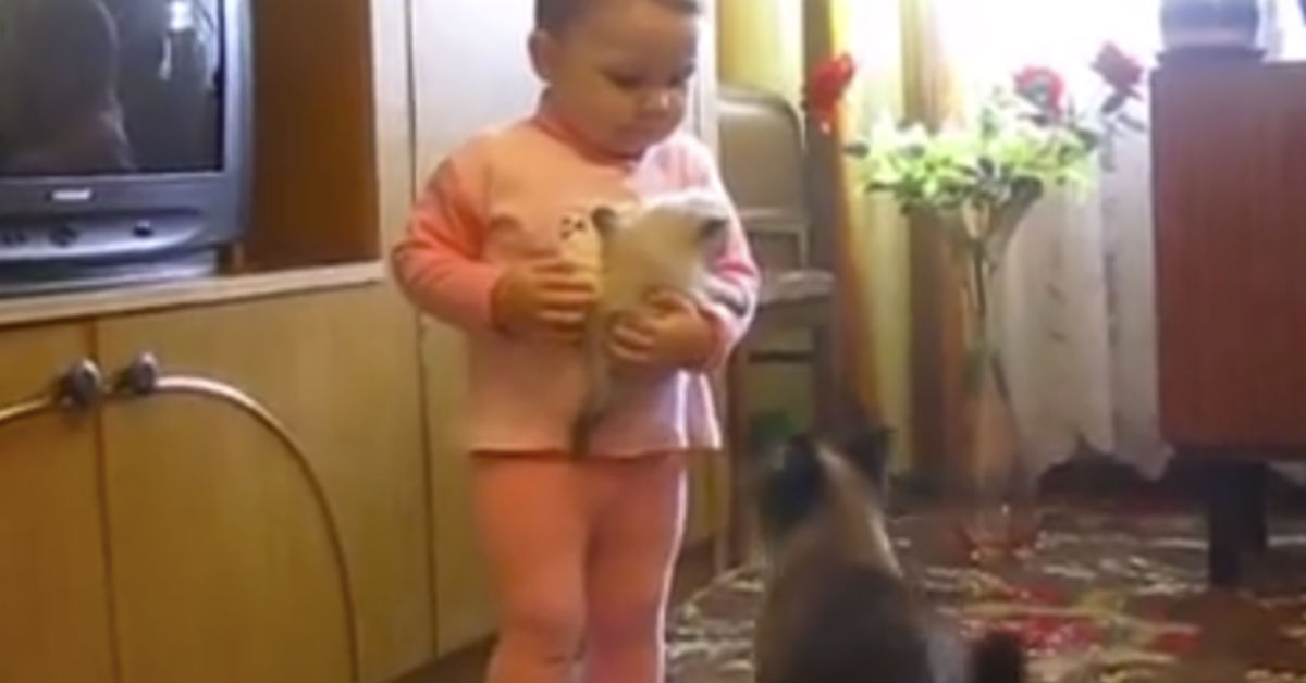 Mama Cat Jumps Into Action After Hearing Kitten Crying In Toddlers’ Arms