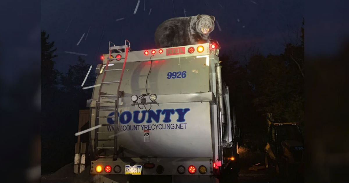 vtech ride on garbage truck