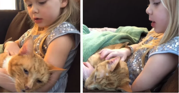 Little Girl Serenades Her Cat For One Last Time Before He Passes Away