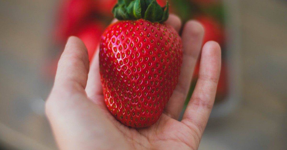 How To Keep Strawberries Fresh For Weeks In The Fridge JumbleJoy   Strw 