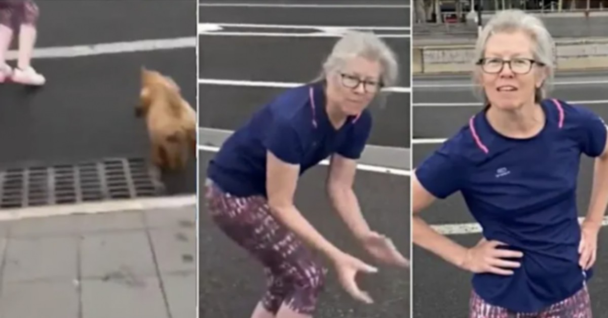 People Can’t Believe As Woman Lures Unleashed Dog Into NYC Traffic