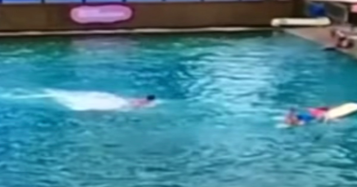 Audience Holds Their Breath When Dolphin Attacks Trainer During Show At Miami&#8217;s Seaquarium