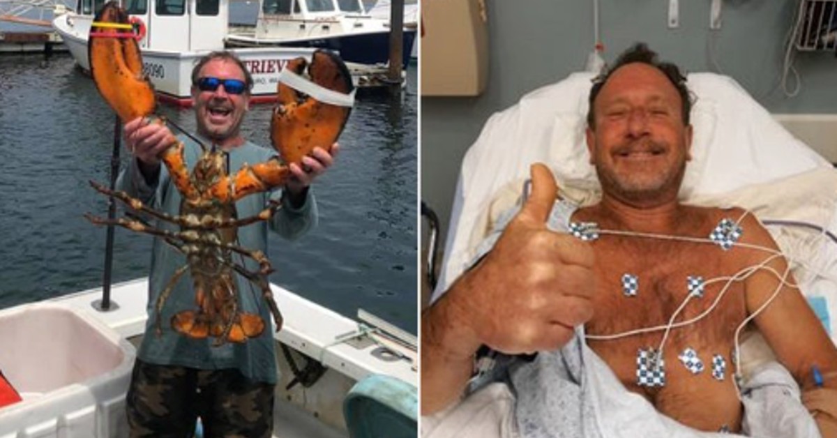 Man Swallowed Whole By Humpback Whale Miraculously Survives