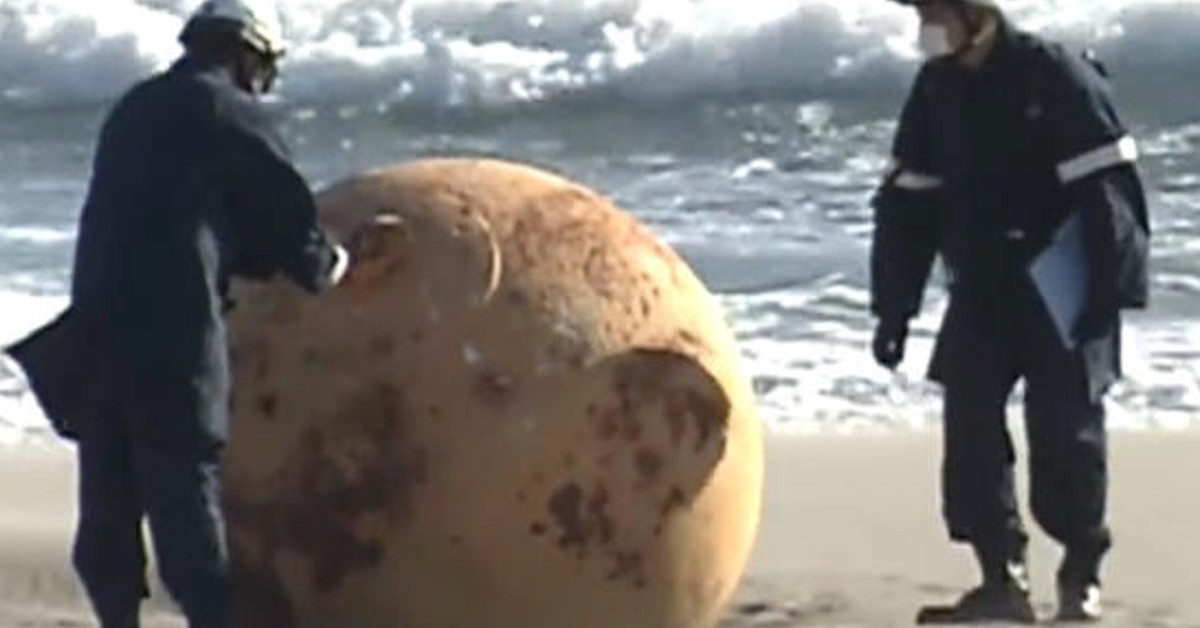 Mystery object that washed up on beach has been identified