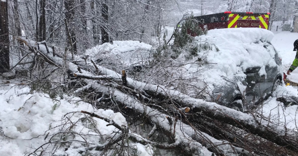 19 Firefighters and Police Use Bare Hands to Save Child Struck by Fallen Tree