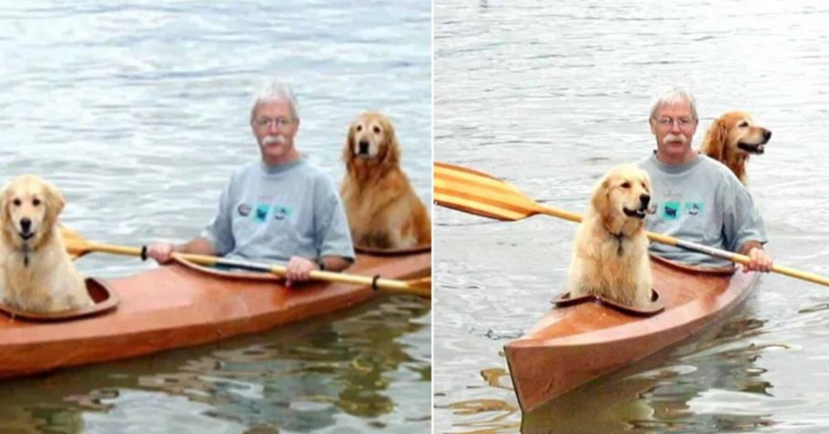 Man Builds A Modified Kayak So He Can Take His Golden Out On Adventures￼