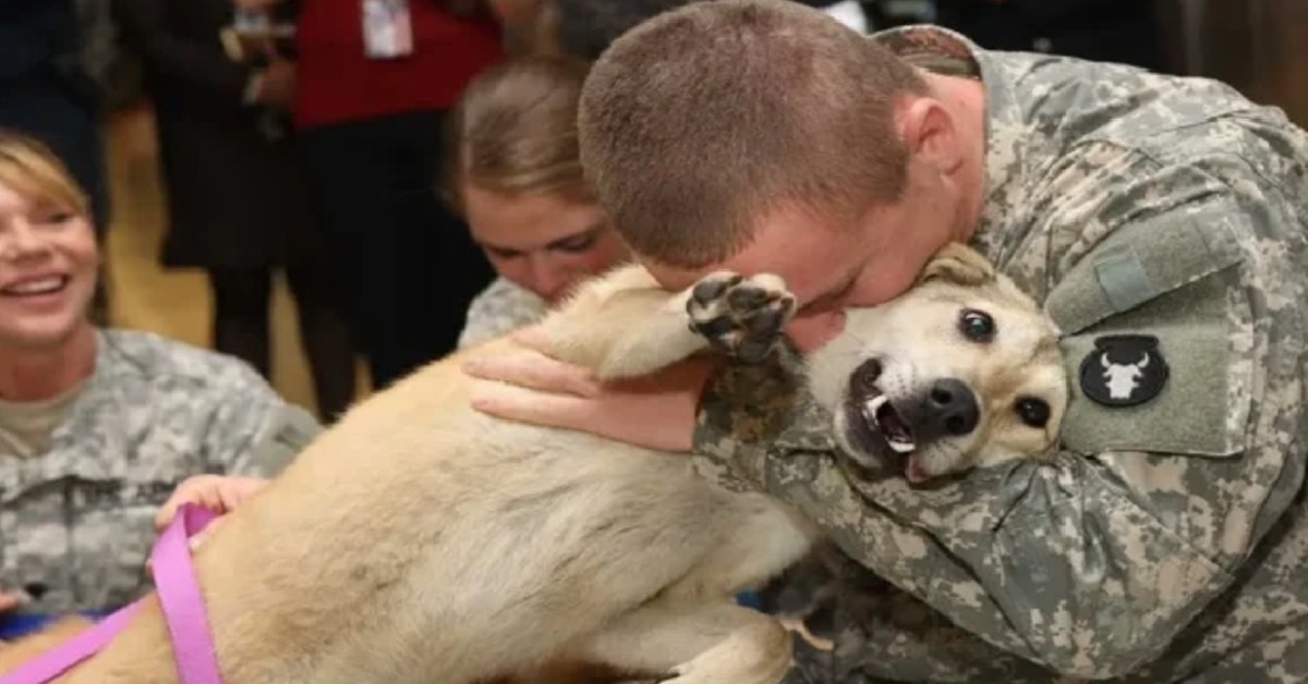 Old dog cries tears of joy at owner’s return from war￼
