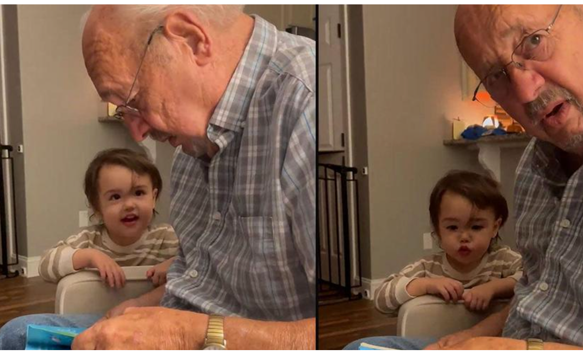 great-grandfather reads the &#8216;Baby Shark&#8217; book without knowing the song, Hilarity ensues